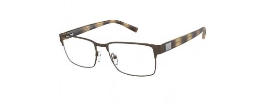 Eyeglasses Armani Exchange 1019