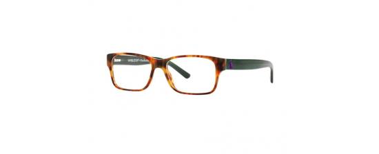 Eyeglasses Polo Ralph Lauren 2117