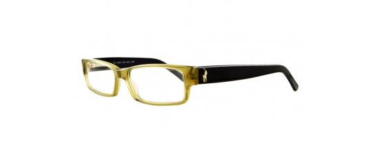Eyeglasses Ralph Lauren 2039