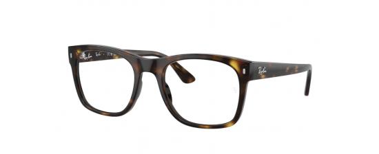 Eyeglasses RayBan 7228