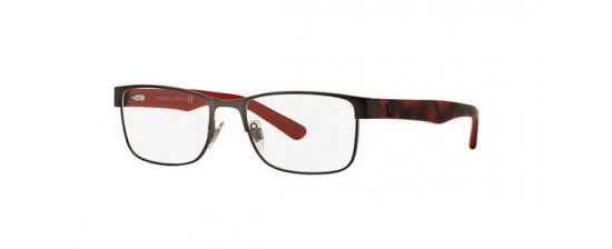 Eyeglasses Polo 1157
