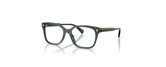 EYEGLASSES RALPH MOD. 7174U