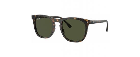 SUNGLASSES RAY BAN 2210