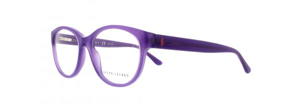 Eyeglasses Polo Ralph Lauren 6104