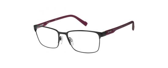 Eyeglasses Pierre Cardin 6854