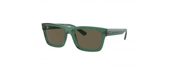 ΓΥΑΛΙΑ ΗΛΙΟΥ RAYBAN 4396 WARREN