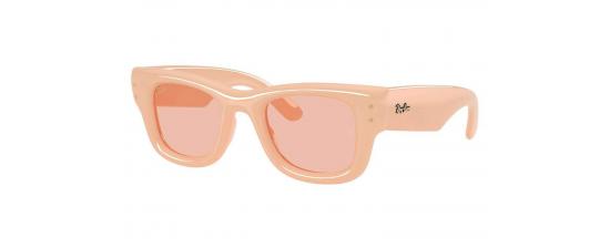 ΓΥΑΛΙΑ ΗΛΙΟΥ RAYBAN 4940 WAYFARER PUFFER