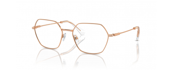 Eyeglasses Swarovski 1011