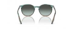 SUNGLASSES RAYBAN 2204