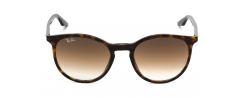 SUNGLASSES RAYBAN 2204