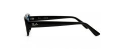 SUNGLASSES RAYBAN 4436D