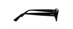 SUNGLASSES RAYBAN 4436D