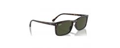 SUNGLASSES RAYBAN 4435