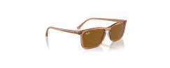 SUNGLASSES RAYBAN 4435