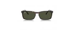 SUNGLASSES RAYBAN 4435