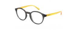Eyeglasses Arnette 7242 Allye