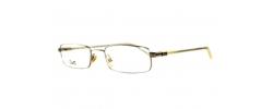 Eyeglasses Dolce & Gabbana 4132