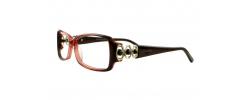 Eyeglasses Envy 5949