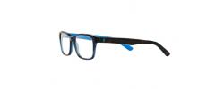 Eyeglasses Polo Ralph Lauren 2141