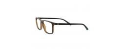 Eyeglasses Polo Ralph Lauren 2229