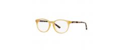 Eyeglasses Polo Ralph Lauren 8544U