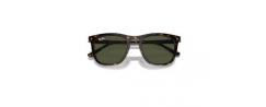 SUNGLASSES RAY BAN 2210