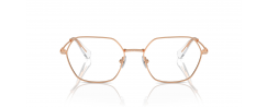 Eyeglasses Swarovski 1011