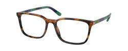 Eyeglasses Polo Ralph Lauren 2234