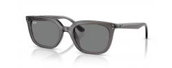 SUNGLASSES RAY BAN 4439D