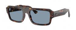 SUNGLASSES RAY BAN 4454