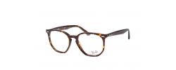Eyeglasses Rayban 7151