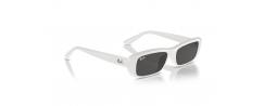 SUNGLASSES RAYBAN 4436D