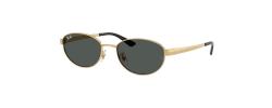 SUNGLASSES RAYBAN 3774D