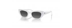 SUNGLASSES RAYBAN 4430 ZENA