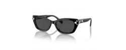 SUNGLASSES SWAROVSKI 6019