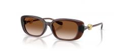 SUN GLASSES VERSACE 4504D