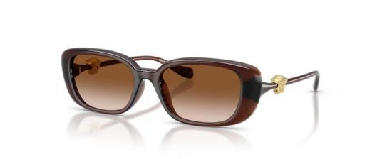 SUN GLASSES VERSACE 4504D